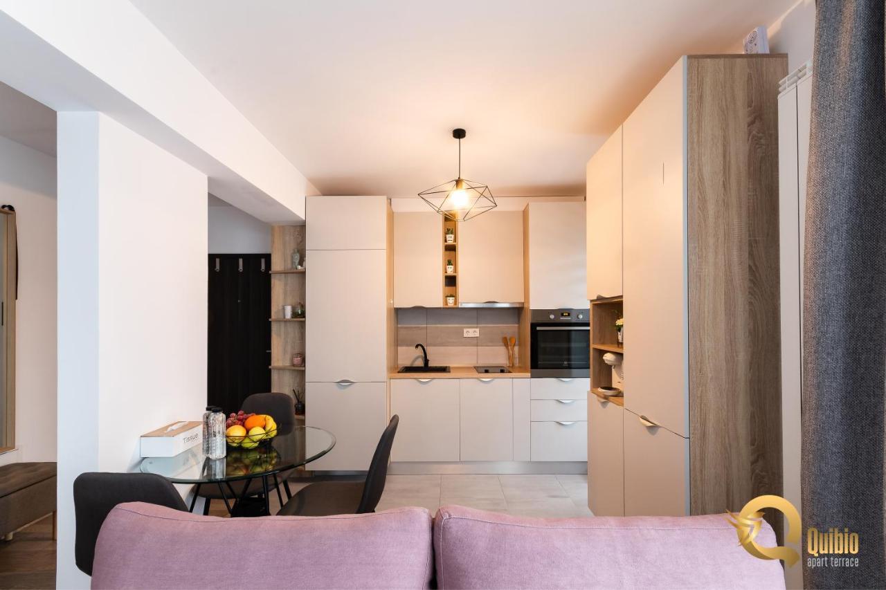 Quibio Apart Terrace Braşov Extérieur photo