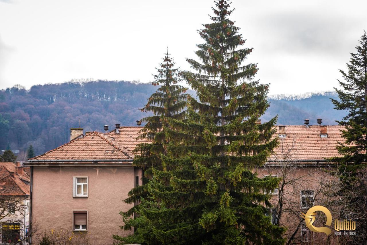 Quibio Apart Terrace Braşov Extérieur photo