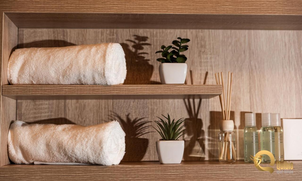 Quibio Apart Terrace Braşov Extérieur photo