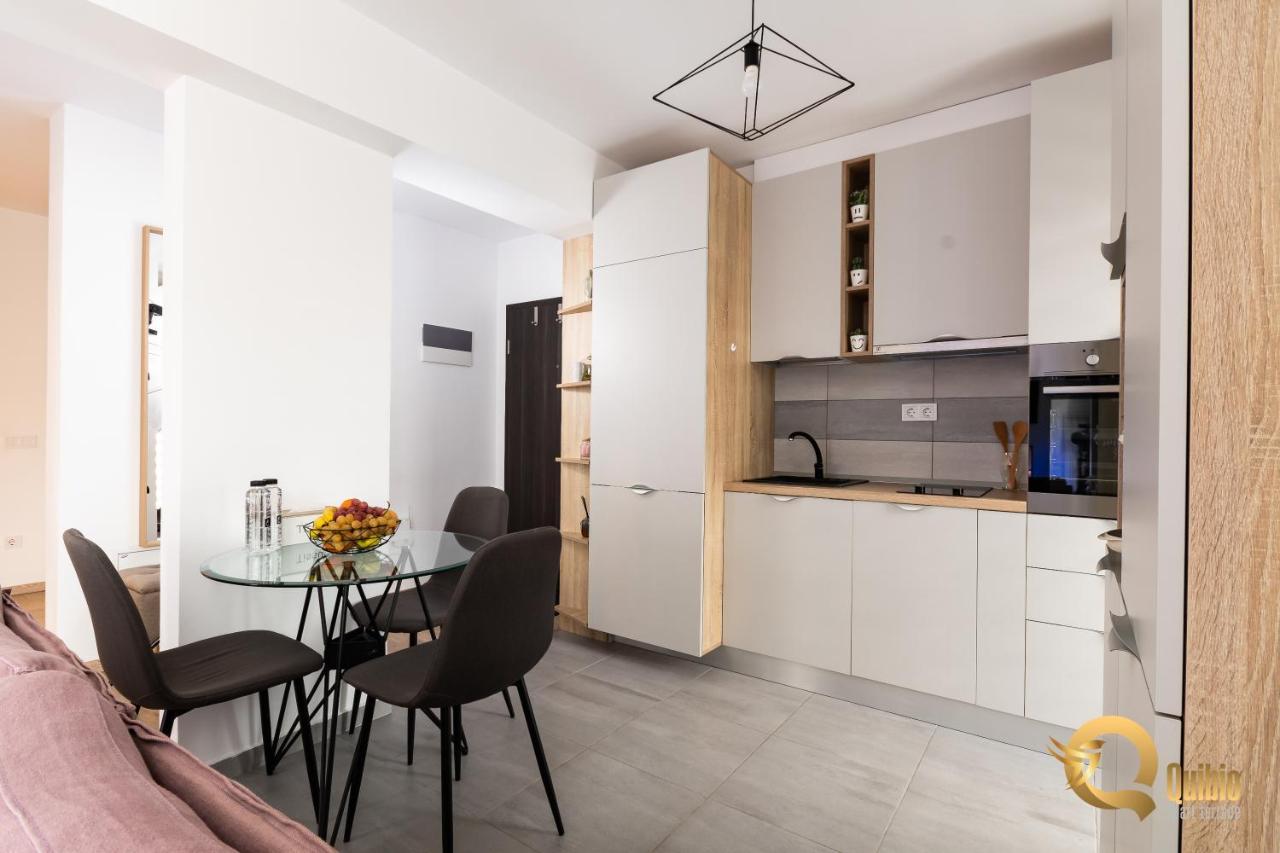 Quibio Apart Terrace Braşov Extérieur photo